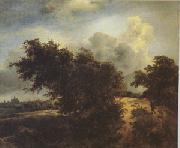 Jacob van Ruisdael The Bush (mk05) china oil painting reproduction